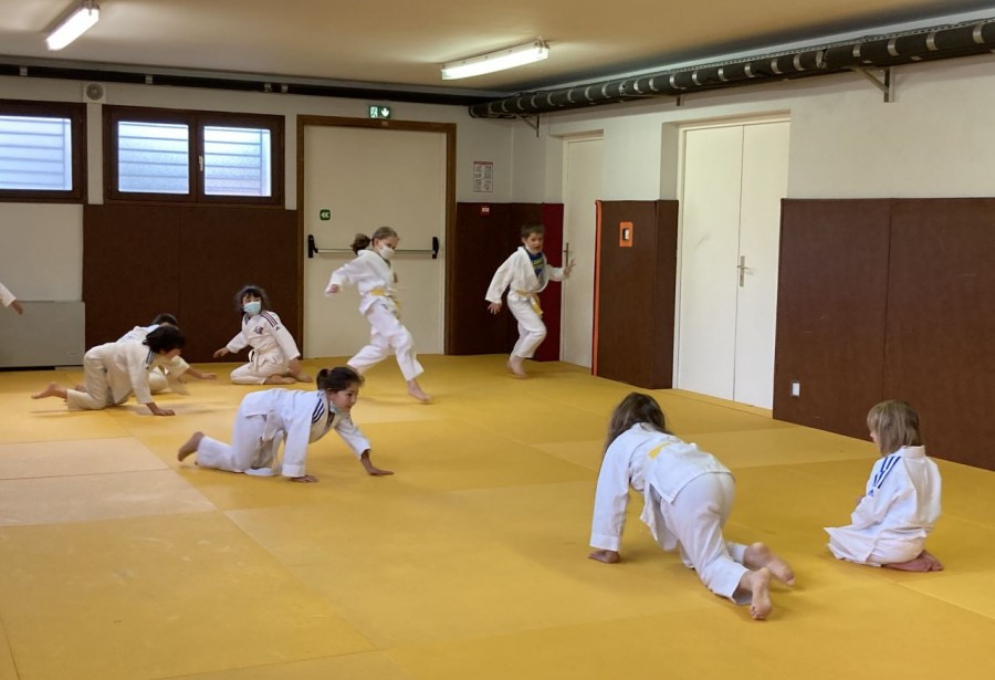 Reprise des cours de judo à partir de ce mercredi 19 mai